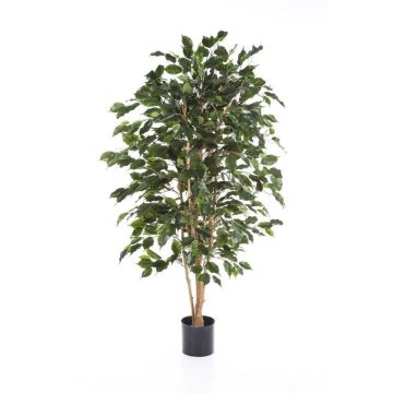 Ficus benjamina THIAGO artificiel, troncs naturels, ignifugé, vert, 120cm