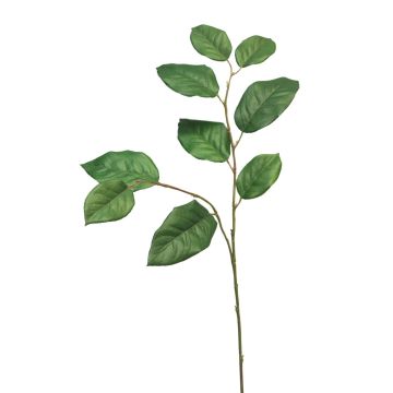 Branche de pommier décorative KONSTANTIN, vert, 75cm