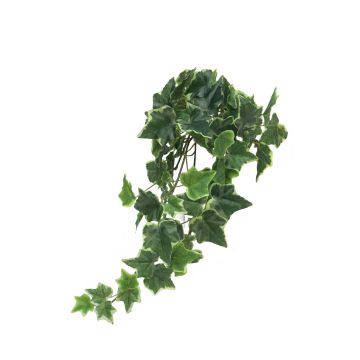 Buisson de Lierre LANSHUO sur piquet, vert-blanc, 45cm