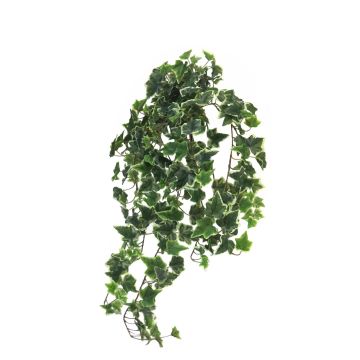 Buisson de Lierre LANSHUO sur piquet, vert-blanc, 100cm