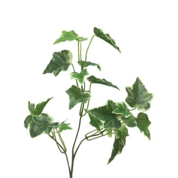 Branche décorative de Lierre LANSHUO, vert-blanc, 55cm