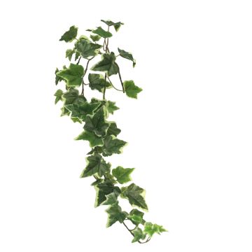 Branche décorative de Lierre LANSHUO, vert-blanc, 80cm