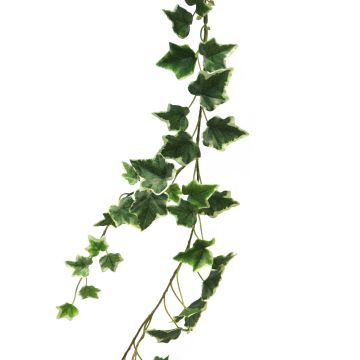 Guirlande décorative de Lierre LANSHUO, vert-blanc, 180cm