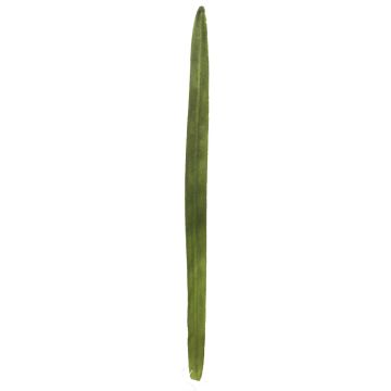 Feuille de roseau artificielle YUTING, vert, 80cm