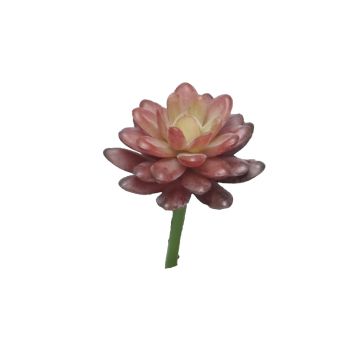 Sedum rubrotinctum artificiel AOLUO sur piquet, rouge bourgogne, 16cm