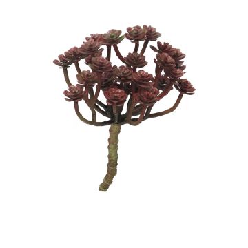Fausse plante Echeveria macdougallii ULUO sur piquet, rouge bourgogne, 19cm