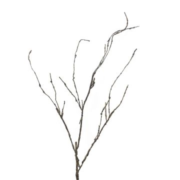 Branche décorative en saule tire-bouchon LIFEN, brun, 95cm