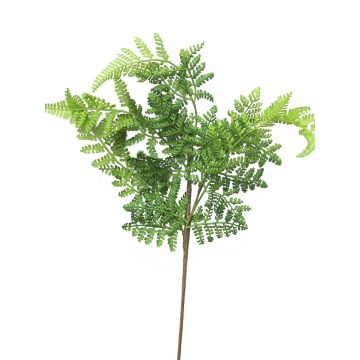 Branche décorative Fougère femelle XINTIAN, vert, 55cm