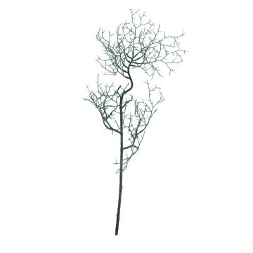 Branche décorative épine du Christ WUMEI, vert-brun, 60cm