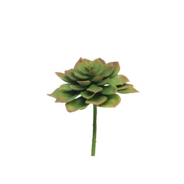 Plante en plastique Echeveria morani XINYA sur piquet, vert-rouge, 17cm