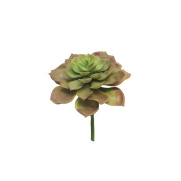 Plante en plastique Echeveria morani XINYA sur piquet, rouge-vert, 17cm