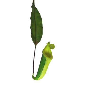 Plante décorative Nepenthes JIANUO, vert, 65cm
