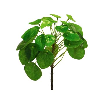 Plante artificielle Succulente Pilea peperomioides JINKAI, piquet, vert, 23cm