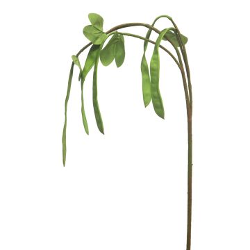Branche décorative Cosse de haricot XINGZI avec gousses, vert, 115cm