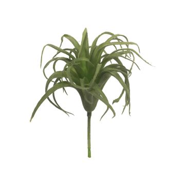 Succulente artificielle Tillandsia Stricta YUXIAN sur piquet, vert, 17cm