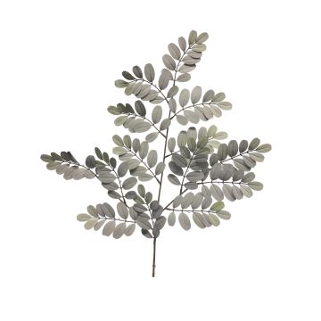 Branche décorative de robinier WENLIN, gris-vert, 70cm