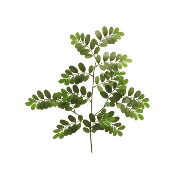 Branche décorative de robinier WENLIN, vert, 70cm