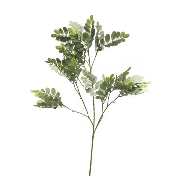 Branche décorative de robinier WENLIN, gris-vert, 100cm