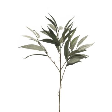 Branche décorative de manguier WENLIAN, vert-gris, 75cm