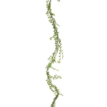 Guirlande décorative de muehlenbeckie WEIJIA, vert, 180cm