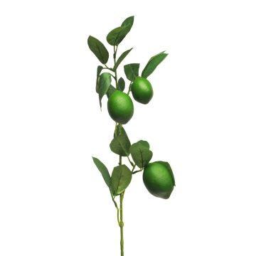 Branche décorative de limettier XIALIN avec fruits, vert, 75cm