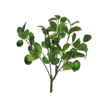 Branche décorative de limettier XIALIN avec fruits, vert, 60cm