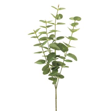 Branche artificielle d'eucalyptus MINJIA, vert, 65cm