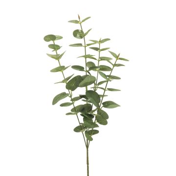 Branche artificielle d'eucalyptus MINJIA, vert-gris, 65cm