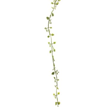 Guirlande artificielle de Muehlenbeckie JIAMIN, vert-gris, 240cm