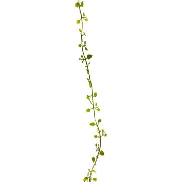 Guirlande artificielle de Muehlenbeckie JIAMIN, vert, 240cm