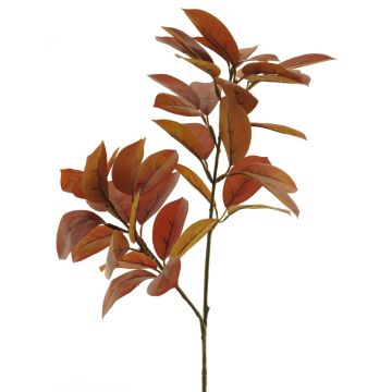 Branche artificielle de citronnier LINXIA, brun-rouge, 75cm
