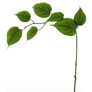 Branche décorative de cornouiller SHUNNAN, vert, 75cm