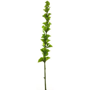 Fleur artificielle laitue d’eau PINWAN, vert, 105cm