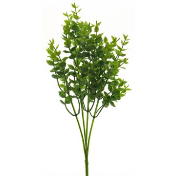 Eucalyptus décoratif MINXIA, piquet, vert, 35cm