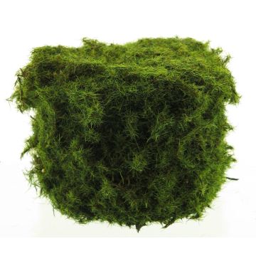 Pierre de mousse décorative YUELAN, vert, 13x10cm