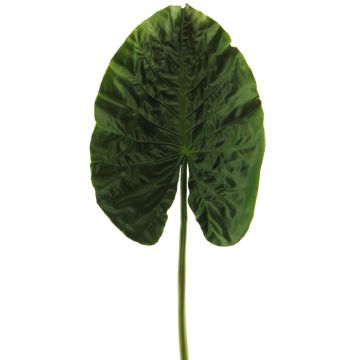 Feuille décorative Alocasia Sanderiana HAOYUE, vert, 75cm