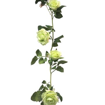 Guirlande de roses artificielles KAILIN, vert clair, 145cm