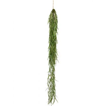 Suspension décorative Asparagus sprengeri LINGLI, vert, 95cm