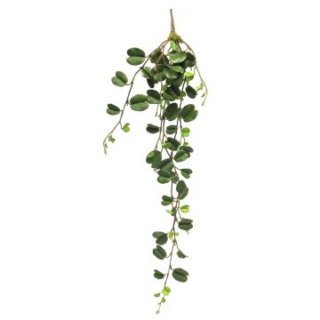 Suspension décorative Hoya kerrii XIANHUI, piquet, vert, 100cm