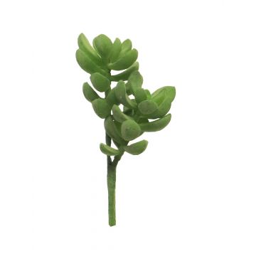 Succulente artificielle Crassula ovata MUNING, piquet, vert, 14cm