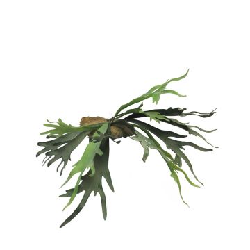 Fausse plante fougère Platycerium KONGXI sur piquet, vert, 50cm