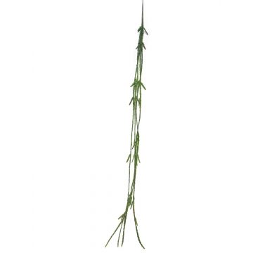 Suspension décorative Rhipsalis MINYAN, piquet, vert, 105cm