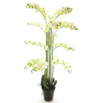 Fleur artificielle orchidée Phalaenopsis CHENXU, blanc, 140cm