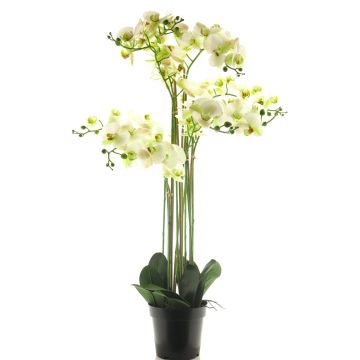 Fleur artificielle orchidée Phalaenopsis CHENXU, blanc, 110cm