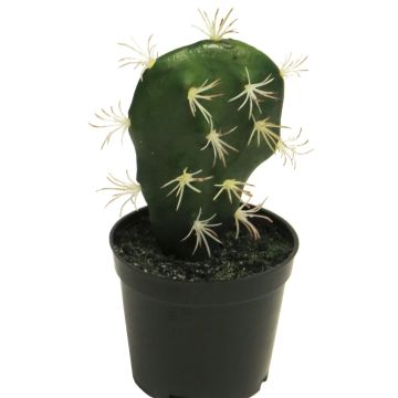 Cactus colonne artificiel RUOFEI, vert, 16cm
