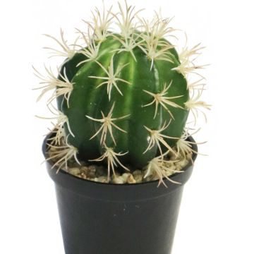 Cactus 'coussin de belle-mère' artificiel RUOLING, vert, 16cm