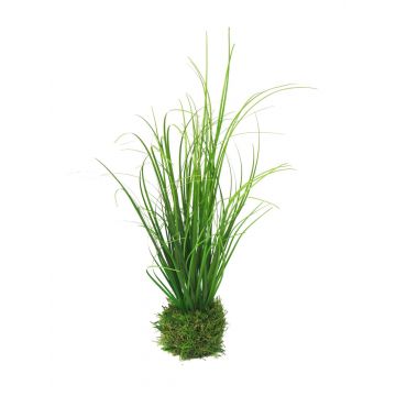 Herbe aux écouvillons décorative WEILIN sur motte d'herbe, vert, 35cm