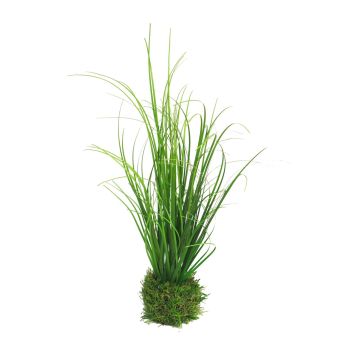 Herbe aux écouvillons décorative WEILIN sur motte d'herbe, vert, 25cm