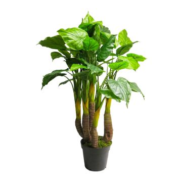 Plante en plastique Anthurium JINGLEI, vert, 120cm