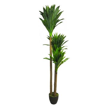 Palmier décoratif Yucca SHIXING en pot décoratif, 170cm